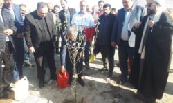 کاشت ۲ هزار اصله نهال در محوطه دانشگاه شهید مدنی آذربایجان