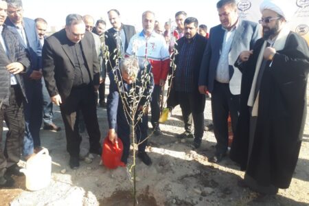 کاشت ۲ هزار اصله نهال در محوطه دانشگاه شهید مدنی آذربایجان