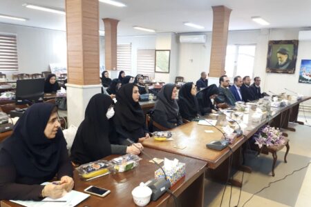 نشست بررسی کنوانسیون بین المللی حقوق معلولان و قانون حمایت از حقوق معلولان در شهرستان آذرشهر