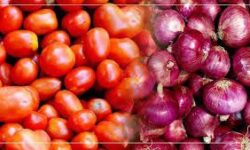صادرات پیاز و گوجه فرنگی به زودی محدود می شود