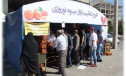 آغاز عرضه سیب و پرتقال شب عید در آذربایجان شرقی