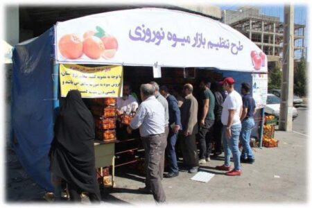 آغاز عرضه سیب و پرتقال شب عید در آذربایجان شرقی