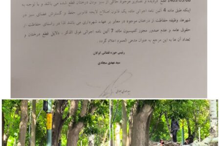رئیس حوزه قضایی بخش گوگان به ماجرای قطع درختان بلوار گوگان ورود کرد