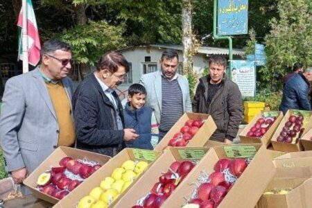 تولید سالانه ۴ میلیون ۲۰۰ هزار تن سیب در کشور