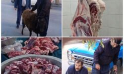 پویش نذر ماهیانه قربانی برای نیازمندان در گوگان