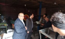 بررسی میدانی مشکلات کارگاه‌های تولیدی گوگان در مسیر حمایت از سرمایه‌گذاری