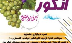 جشنواره انگور ارومیه؛ نمایش سنت، شادی و ظرفیتهای کشاورزی در دهکده چیچست