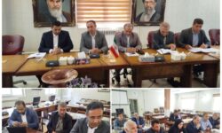 با پیگیری دکتر متفکرآزاد و هماهنگی مسئولان، پروژه‌های حیاتی شهر گوگان در مسیر اجرا قرار گرفتند
