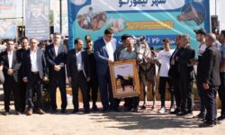 حضور ۵۵ اسب در نخستین همایش بزرگ اسب‌سواری تیمورلو