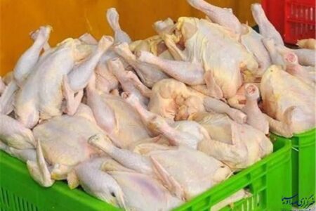 تولید گوشت مرغ بیش از نیاز در آذربایجان شرقی