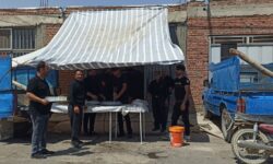 موکب‌های بخش گوگان، با عطر نذری و شور حسینی میزبان هزاران جامانده اربعین شدند