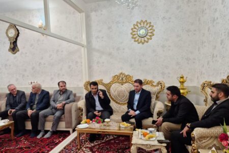 بررسی میدانی مشکلات تلفن ثابت و سیار گوگان با حضور مدیرکل ارتباطات استان