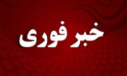 شهادت ۵ دانش آموز در پی حمله به یک مدرسه ابتدایی در میناب