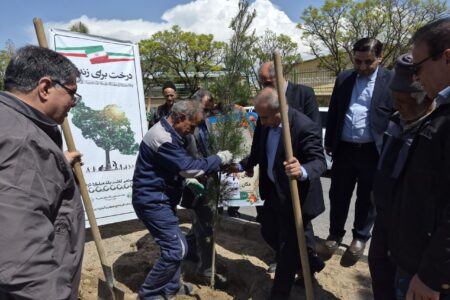 پویش نهال‌کاری «سرو امید» در شهرک صنعتی شهید سلیمی برگزار شد